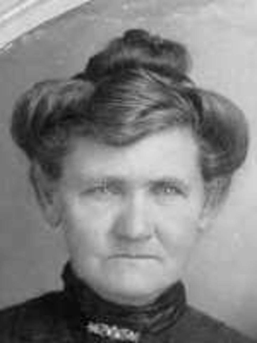 Sarah Ellenor Bingham (1850 - 1936) Profile